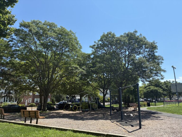 Mt Pleasant Little League Park playground swings for ages 2-12