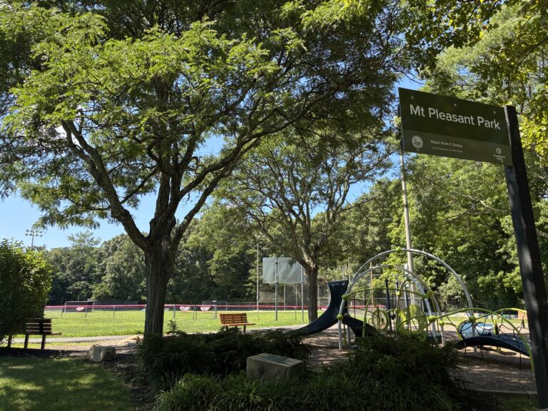 Mt Pleasant Little League Park was the first park to receive a new generation natural green Park Entrance sign