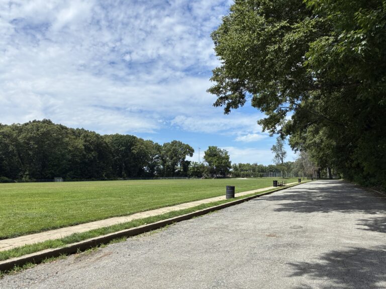 Obadiah Brown Field in 2026