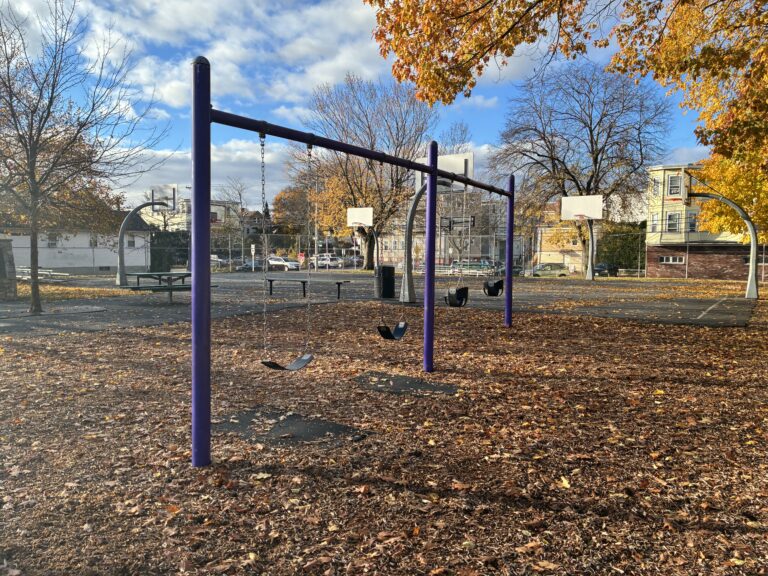 Pastore Park playground swings for ages 2-12 with fall leaves November 2025