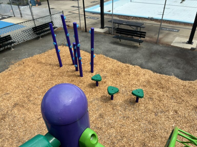 Pastore Park view of play features added in 2026- step pods and bamboo-inspired climbing structures