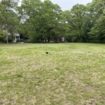 Paterson Park's Alan Tortolani field is great for soccer, lacrosse, wiffleball, kites