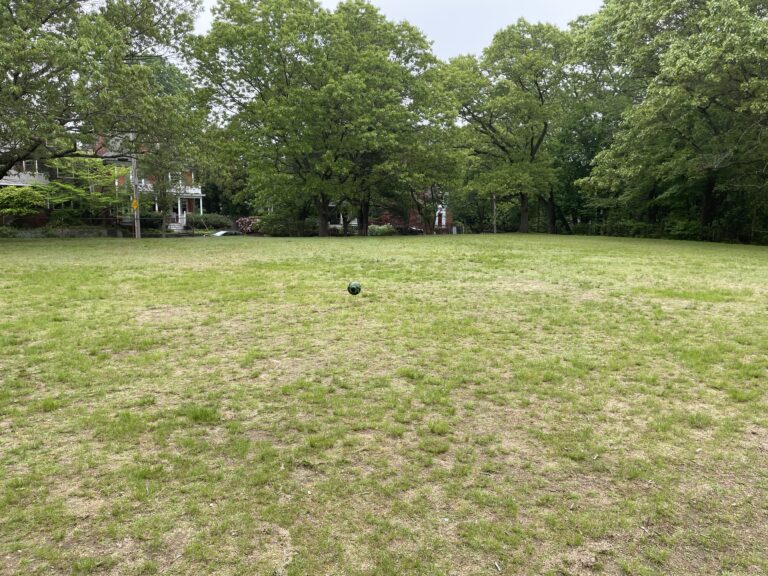 Paterson Park's Alan Tortolani field is great for soccer, lacrosse, wiffleball, kites