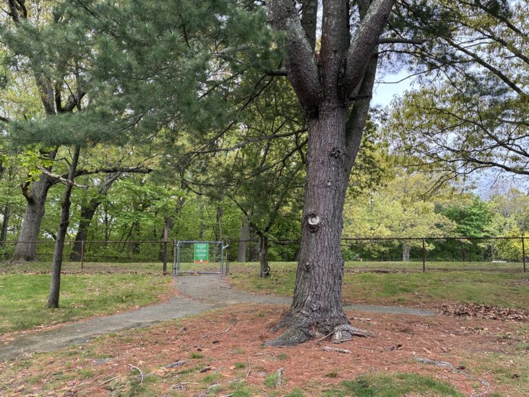 Paterson Park entrance to the field on Angell St