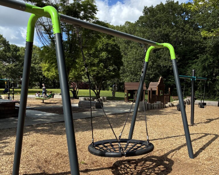 Paterson Park bird's nest swing with activity on the playground
