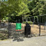 Paterson Park south entrance to the playground featuring a plethora of swings for ages 2-12