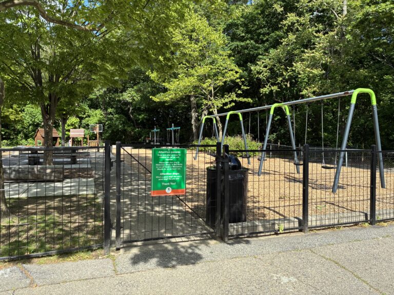 Paterson Park south entrance to the playground featuring a plethora of swings for ages 2-12