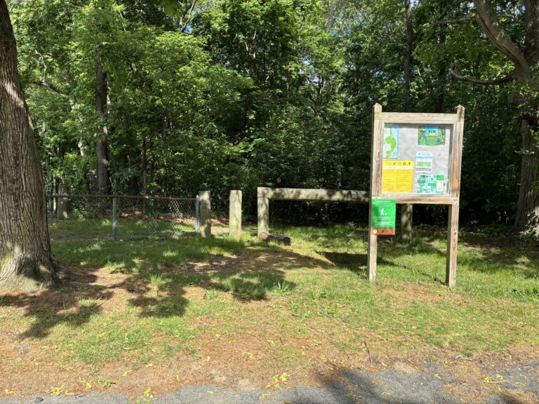 Paterson Park at the south side of the park on Paterson St is a trailhead for Blackstone Park