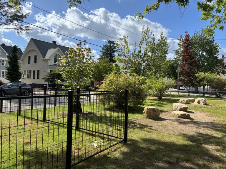 Paterson Park planting area in the corner of the field facing Paterson and Angell Streets