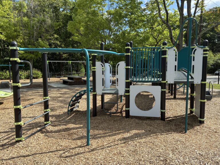 Paterson Park includes classic play features for ages 5-12 including a c-shaped overhead ladder and sliding/fire pole