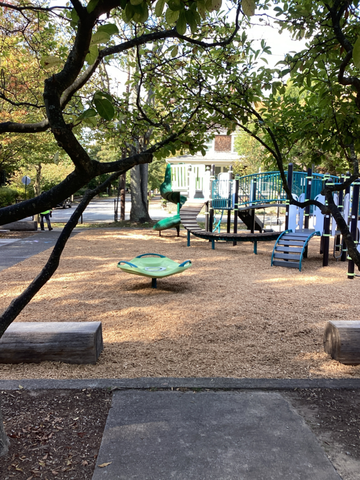 Paterson Park playground features a small carousel spinner for ages 2-12, ample shade and seating
