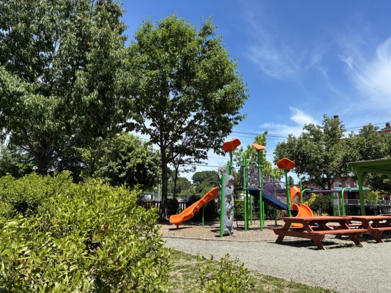 Peace & Plenty Park looking northeast at the playground and picnic tables from in the bushes