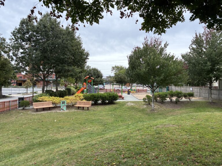 Peace & Plenty Park view from the berm on the west side of the park under a shade tree
