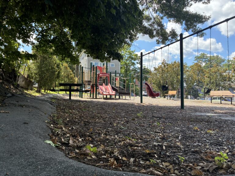Pleasant St Park features playground swings for all ages including a bucket, molded ADA, and two belts