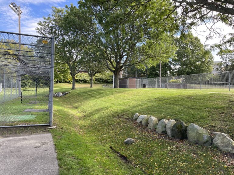 Prete-Metcalf Park batting cage at field 1 and a green berm with shade trees between the ballfields