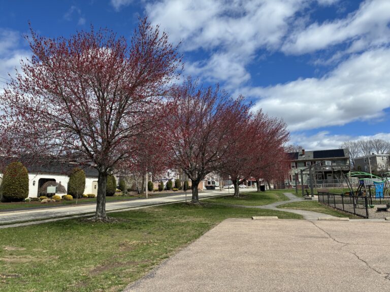 Prete-Metcalf Park early spring color on the trees along Hawkins Street