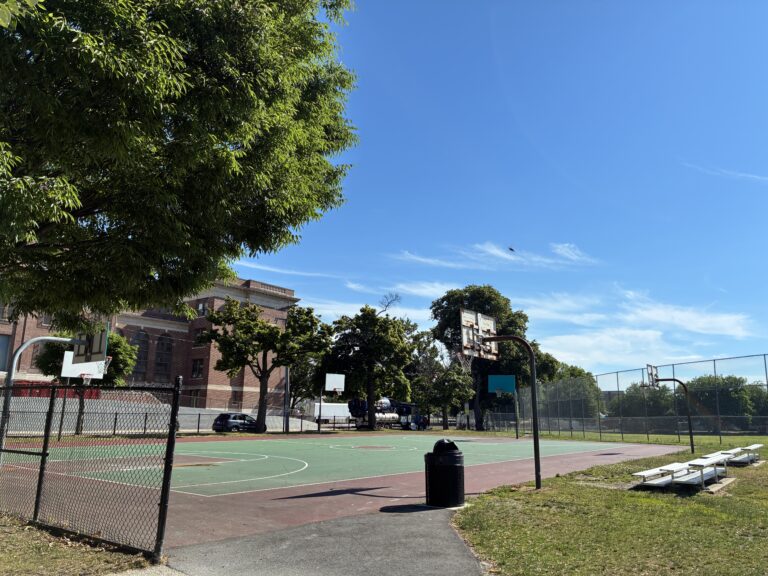 Richardson Park basketball court with an insect flying through the frame June 2026