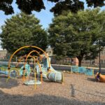 Richardson Park playground equipment for ages 5-12 including various climbers, carousel spinner, and accessible activity panels