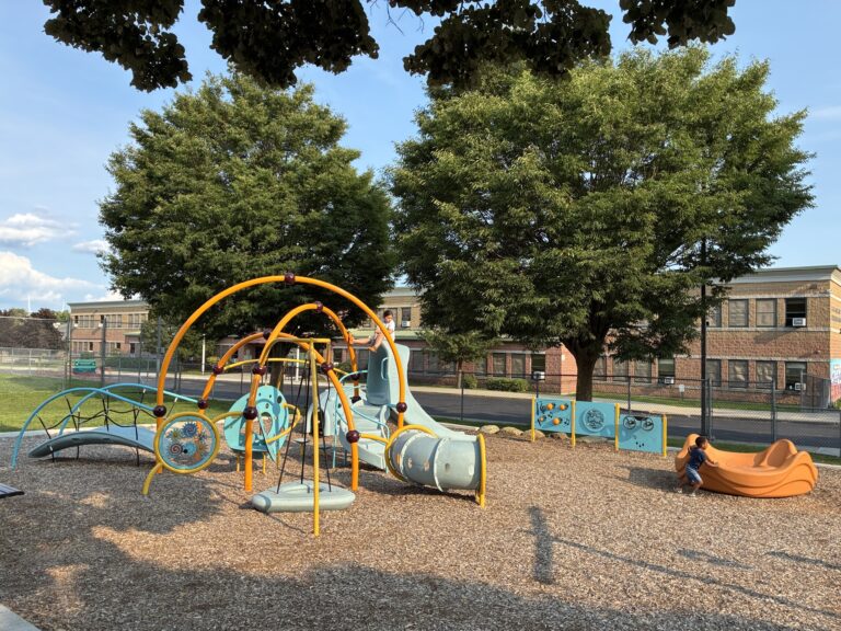 Richardson Park playground equipment for ages 5-12 including various climbers, carousel spinner, and accessible activity panels