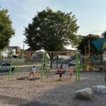 Richardson Park playground swings for ages 5-12 in action, August 2026