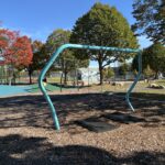 Richardson Park additional belt swings for young- and older- adults apart from the children's playground