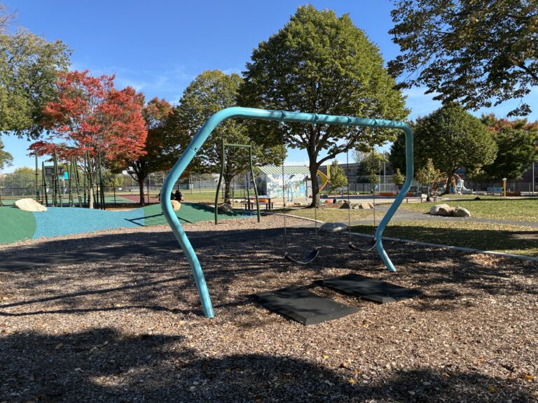 Richardson Park additional belt swings for young- and older- adults apart from the children's playground