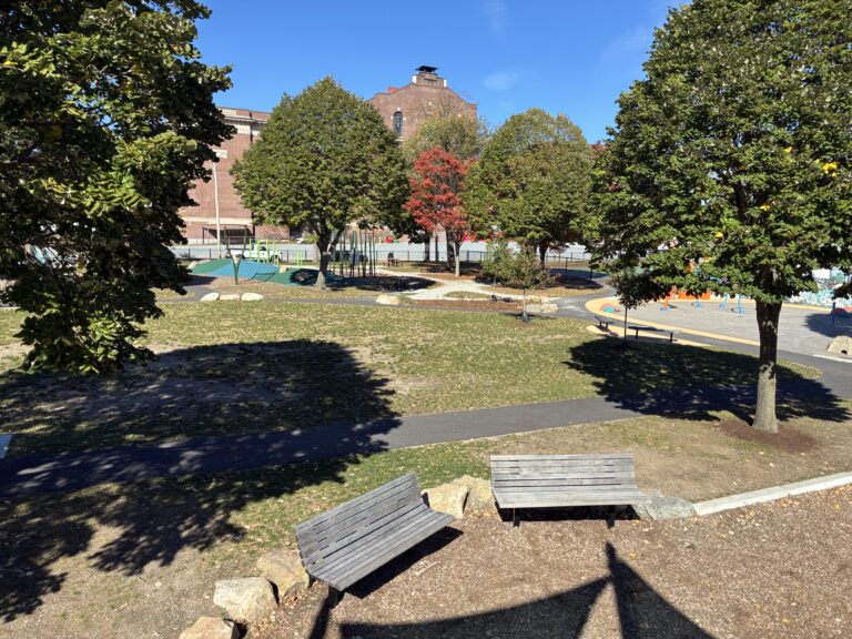 Richardson Park view of the middle of the park from top of slide on large play structure