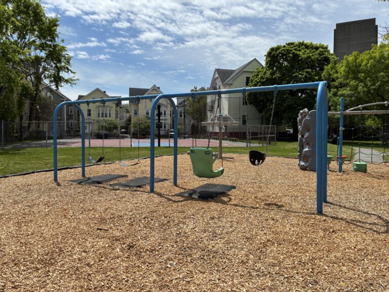 Ridge St Park has an assortment of swing seat styles for ages 2-12