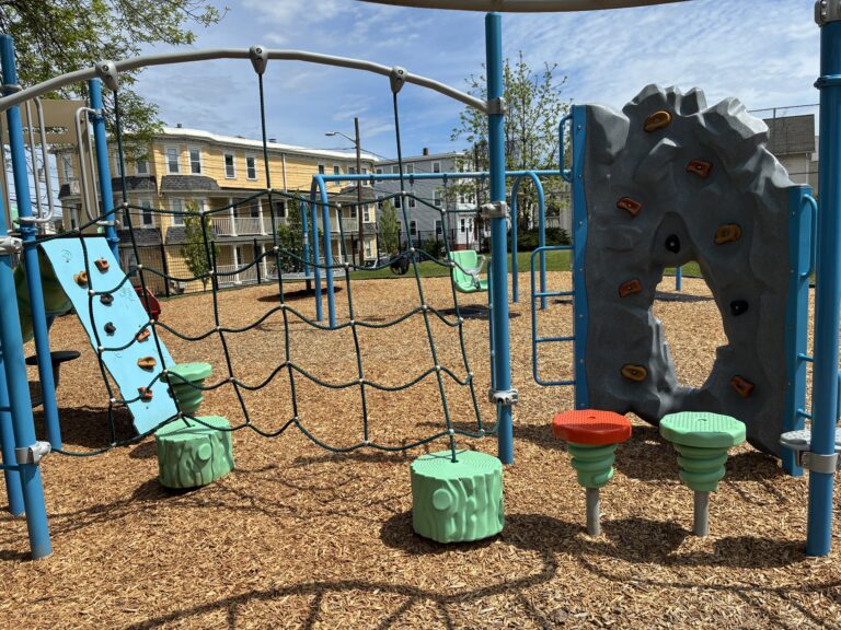 Ridge St Park playground for ages 2-5 cargo net and step pods