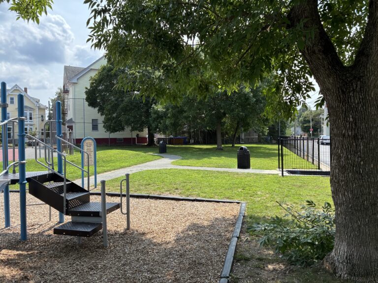 Ridge St Park some tree pruning completed over the playground transfer with the Ridge St entrance and south lawn in view