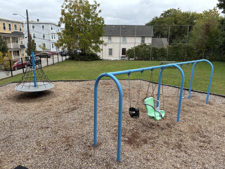 Ridge St Park playground swings for ages 2-12 and carousel spinner, north lawn with picnic table