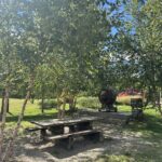 Riverside Park picnic area between the parking lot and playground with interpretive history and artifacts