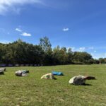 Riverside Park features an expansive west lawn and nearly half a mile of bike path