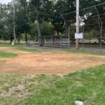 Roger Williams Park Tim O'Neil Field 1 infield cut outs were inspired by Comerica Park looking up the first base line