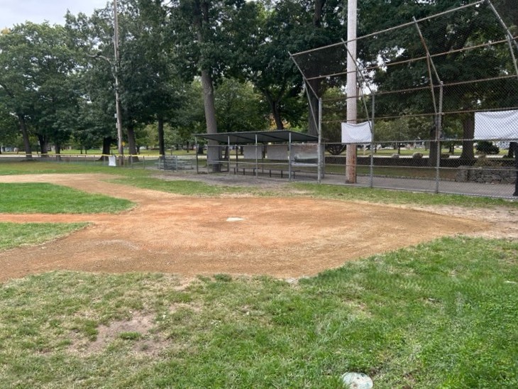 Roger Williams Park Tim O'Neil Field 1 infield cut outs were inspired by Comerica Park looking up the first base line