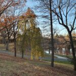 Roger Williams Park Bear Ground late sunset facing south towards Roosevelt Lake