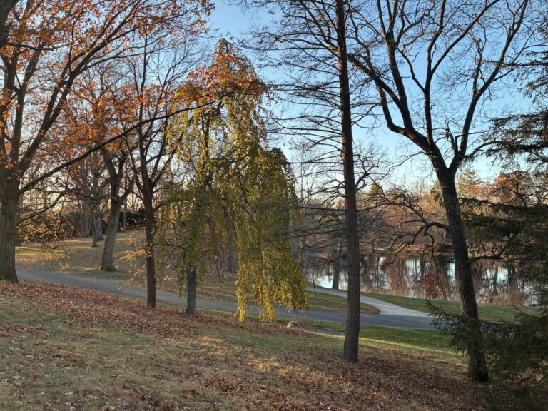 Roger Williams Park Bear Ground late sunset facing south towards Roosevelt Lake