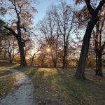Roger Williams Park Bear Ground late sunset facing west into the sun