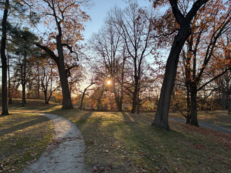 Roger Williams Park Bear Ground late sunset facing west into the sun