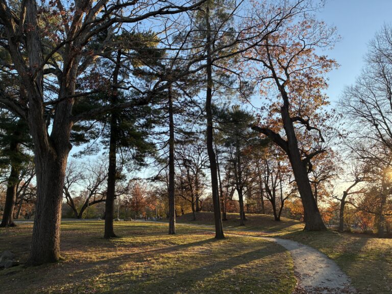 Roger Williams Park Bear Ground late sunset facing west toward Hamlin St
