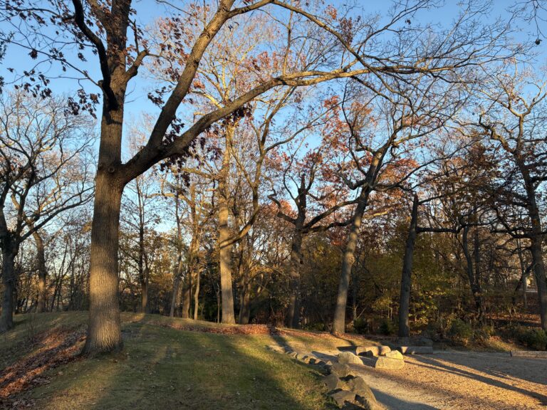 Roger Williams Park Bear Ground late sunset facing East toward Carousel Village