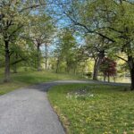 Roger Williams Park Bear Ground looking down Hillside Ave towards Roosevelt Lake in Spring