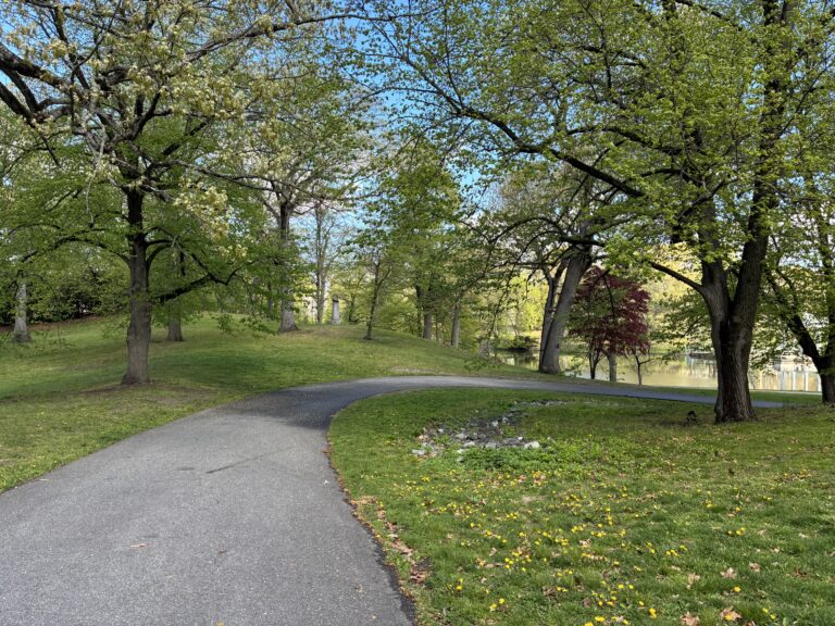 Roger Williams Park Bear Ground looking down Hillside Ave towards Roosevelt Lake in Spring