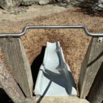 Roger Williams Park Bear Ground play sculpture looking down the slide from the top deck