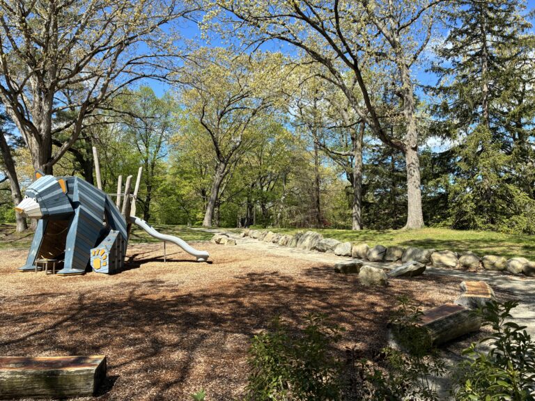 Roger Williams Park Bear Ground features log seating and areas for open play