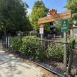Sessions Street Park home to the community garden