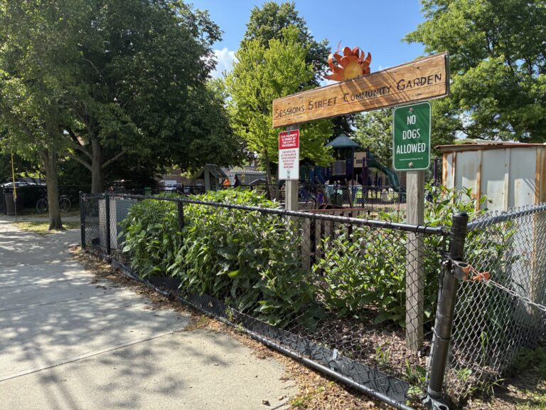 Sessions Street Park home to the community garden