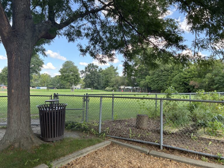 Sessions Street Park action on the T-Ball field viewed from inside the fenced playground