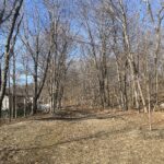 Viscolosi Park natural area continues north on city property behind the Pleasant View school