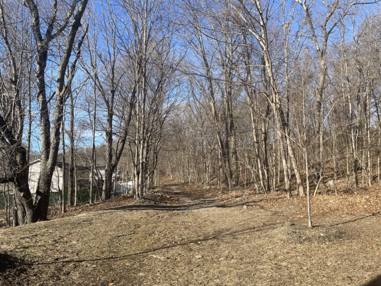 Viscolosi Park natural area continues north on city property behind the Pleasant View school